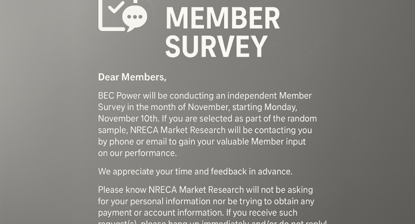 2025 Member Survey